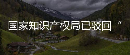 心3万驳回标局已机商件产权知识国家申请